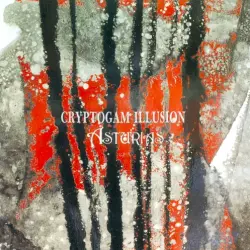 Cryptogam Illusion