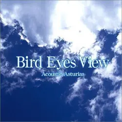 Bird Eyes View