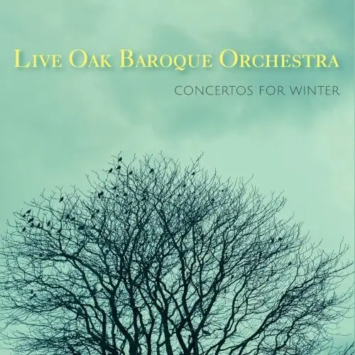 Concertos for Winter