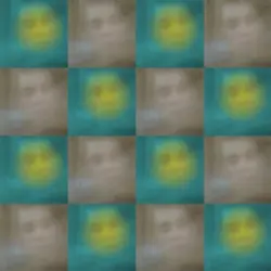 A Tribute