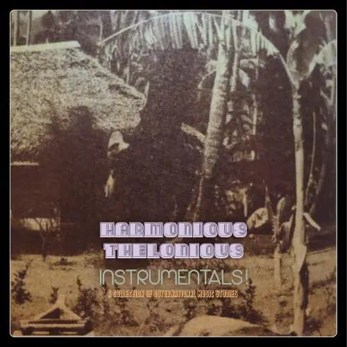 Instrumentals! (A Collection Of Outernational Music Studies)