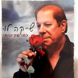 כמו שקיוויתי