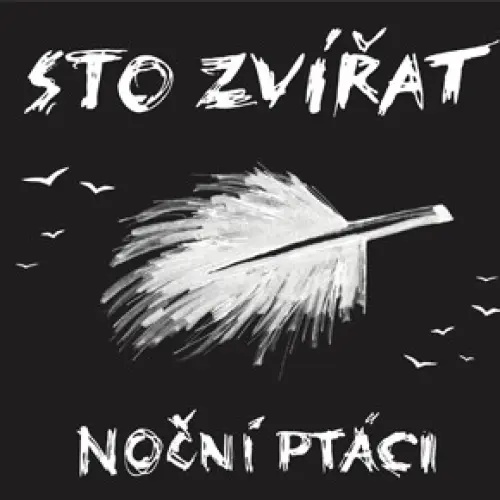 Noční ptáci