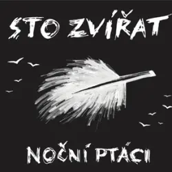 Noční ptáci