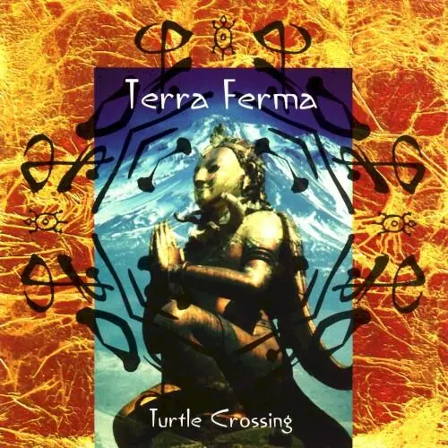 Turtle Crossing