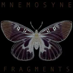 Fragments
