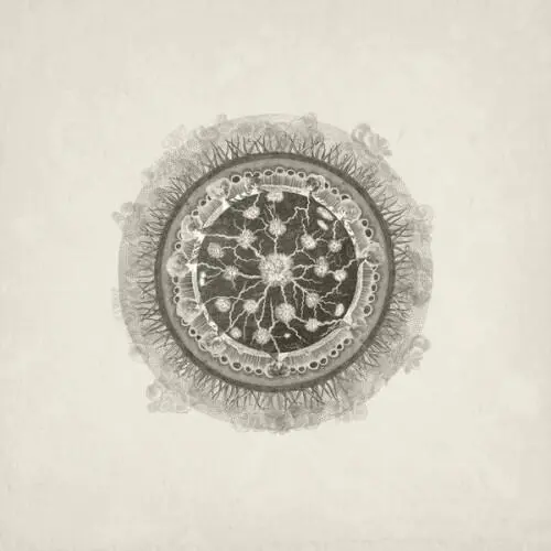 Kosmodynamos