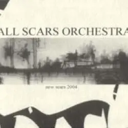 New Scars 2004