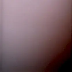 NINE