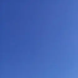 ELEVEN