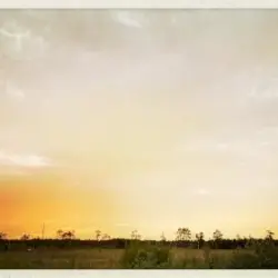 Agni Touched the Earth
