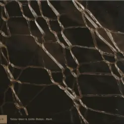 Mesh