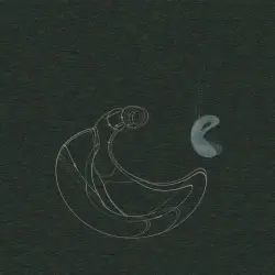 Klein Bottles
