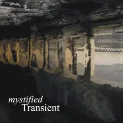 Transient Transient