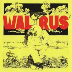 Walrus