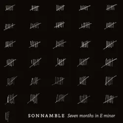 Seven Months in E Minor