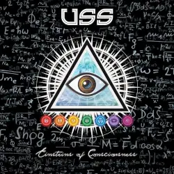 Einsteins of Consciousness
