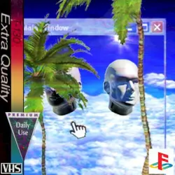 Palmtree Paradise