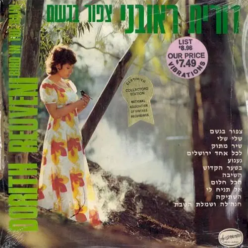 צפור בגשם