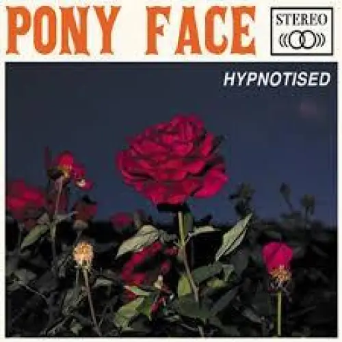 Hypnotised