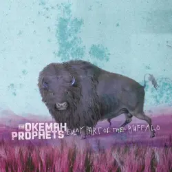 Every Part Of The Buffalo