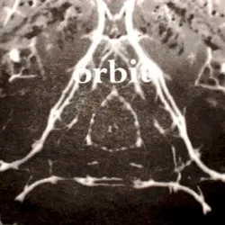 ORBIT