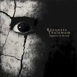 Fragments of the Void