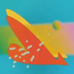 개의 입장