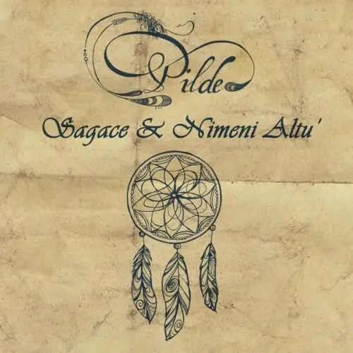 Pilde