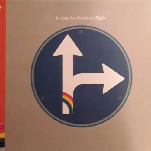 In Time For Hawk On Flight
