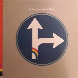 In Time For Hawk On Flight
