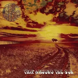 Trip Around The Sun