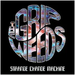 Strange Change Machine