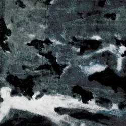 A MURDER OF CROWS