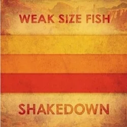 Shakedown Shakedown