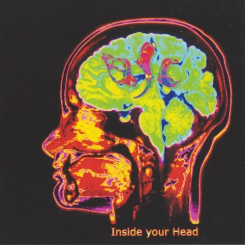 Inside Your Head