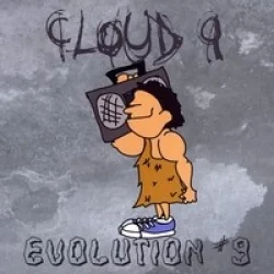 Evolution #9 Evolution #9