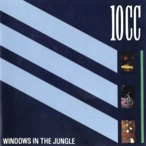 Windows in the Jungle