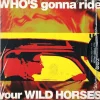 Who’s Gonna Ride Your Wild Horses