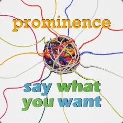 Say What You Want Say What You Want