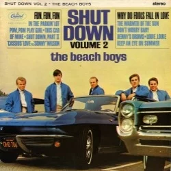 Shut Down, Volume 2