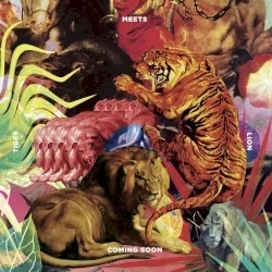 Tiger Meets Lion Tiger Meets Lion