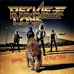 Animal Attraction
