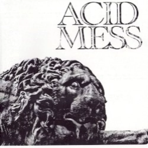 Acid Mess