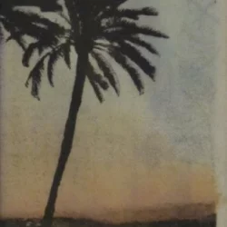 The Palm Leaves of Victory