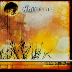 Torch the Moon