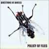 Policy Of Flies