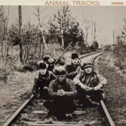 Animal Tracks Animal Tracks