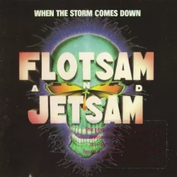 When the Storm Comes Down When the Storm Comes Down