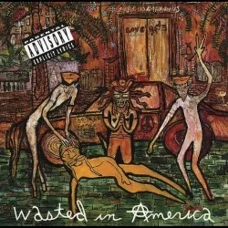 Wasted in America